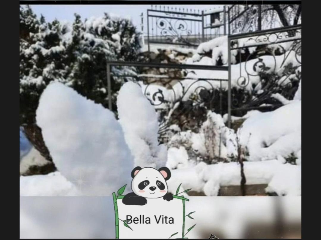 Apartman Bella Vita Kolašin Værelse billede